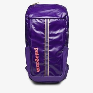Patagonia Purple 25L Blackhole Backpack